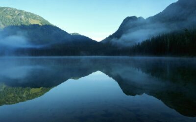 A Calm Resolve to Wait for the Salvation of God