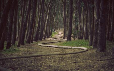 Jesus Christ: The Gateway to Freedom