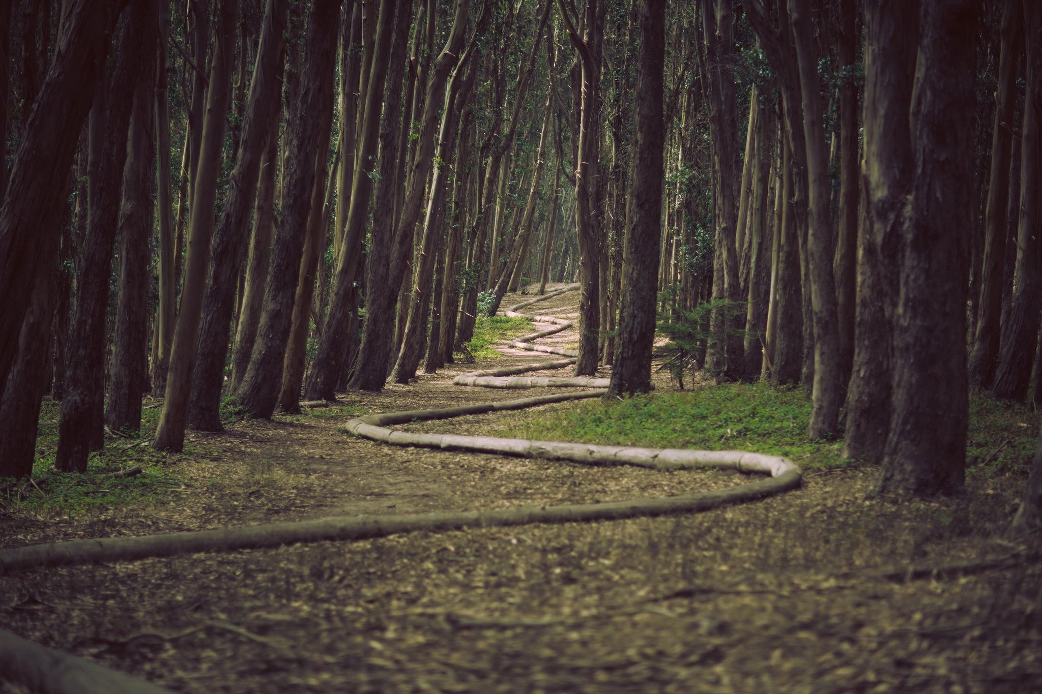 Jesus Christ: The Gateway to Freedom