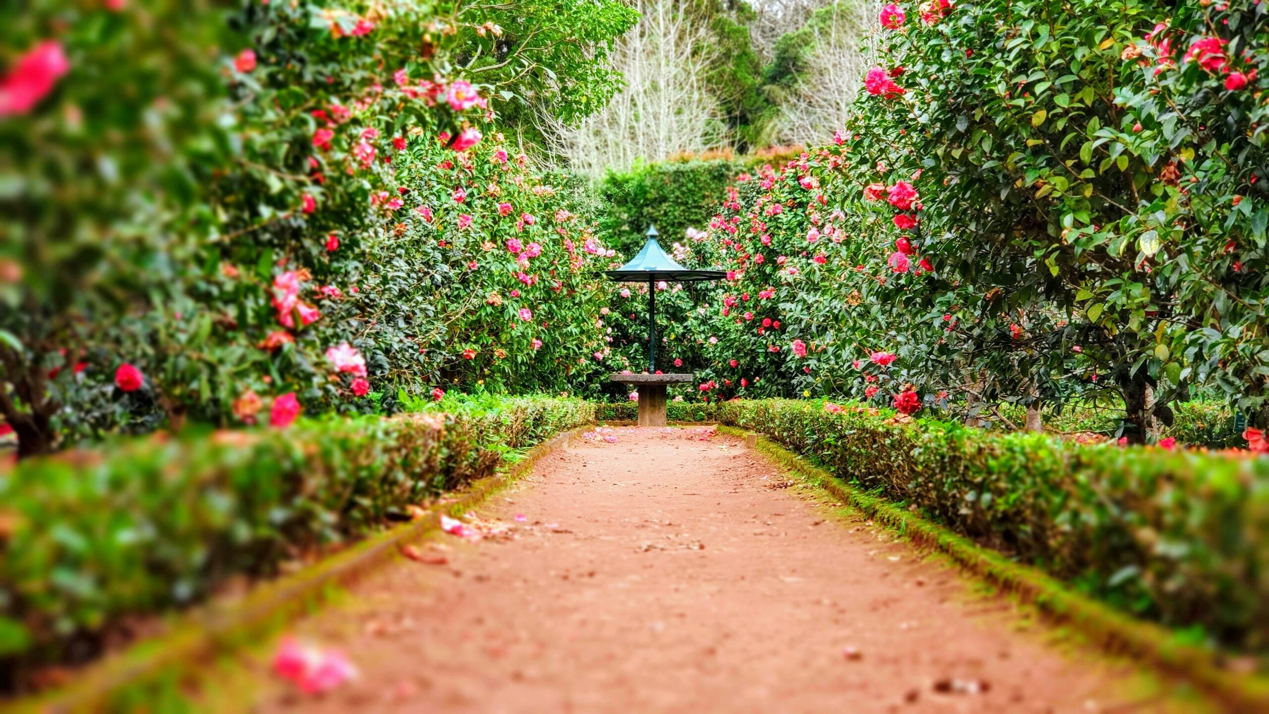 Cultivating the Garden of Your Heart